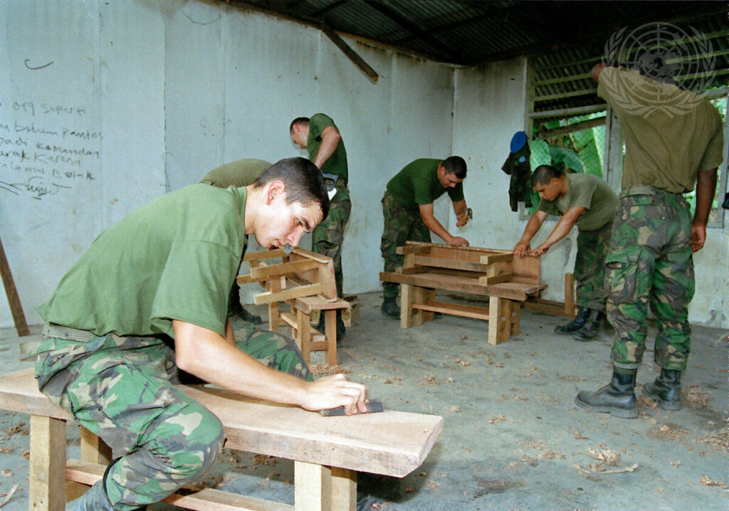 Views of East Timor During the Transition to Independence